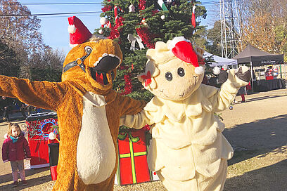 Agrandir l'image, fenêtre modale