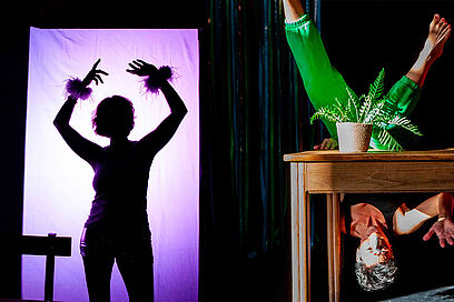 Agrandir l'image, fenêtre modale