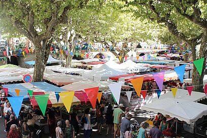 Agrandir l'image, fenêtre modale