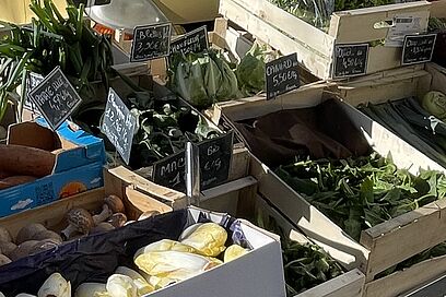 Agrandir l'image, fenêtre modale