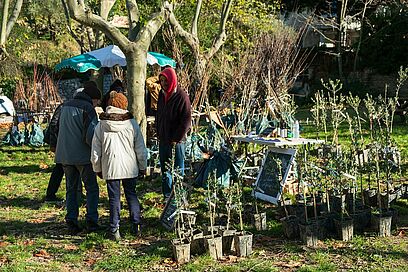 Agrandir l'image, fenêtre modale