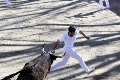 Agrandir l'image, fenêtre modale