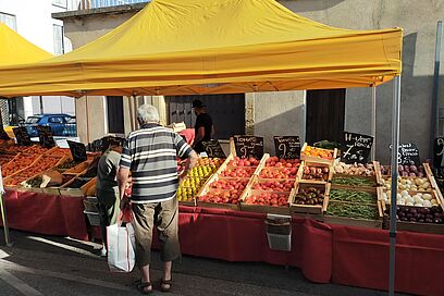 Agrandir l'image, fenêtre modale
