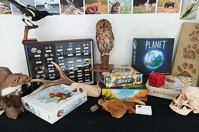 Agrandir l'image, fenêtre modale