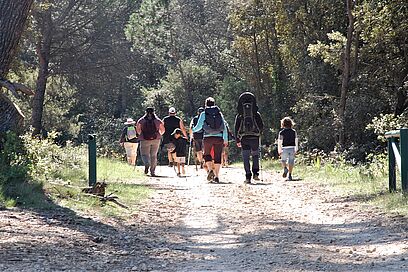 Agrandir l'image, fenêtre modale