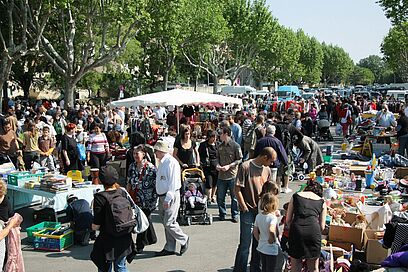 Agrandir l'image, fenêtre modale