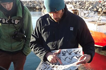 Agrandir l'image, fenêtre modale