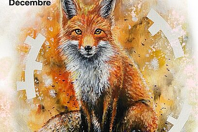 Agrandir l'image, fenêtre modale