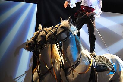 Agrandir l'image, fenêtre modale