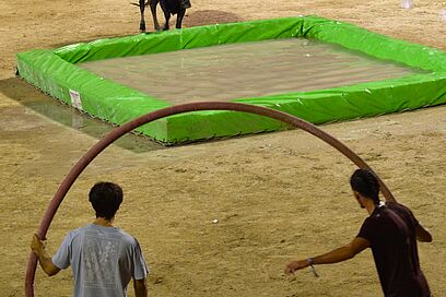 Agrandir l'image, fenêtre modale