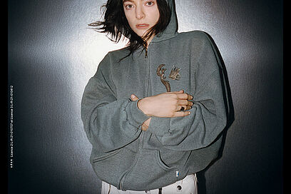 Agrandir l'image, fenêtre modale