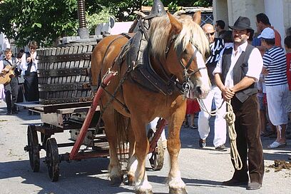 Agrandir l'image, fenêtre modale