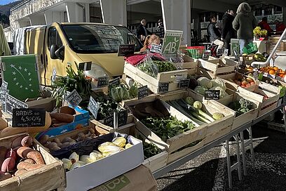 Agrandir l'image, fenêtre modale