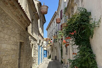 Agrandir l'image, fenêtre modale