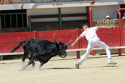 Agrandir l'image, fenêtre modale