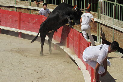 Agrandir l'image, fenêtre modale