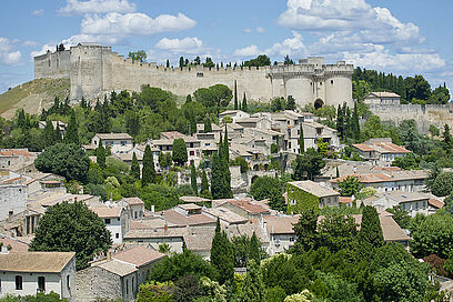 Agrandir l'image, fenêtre modale