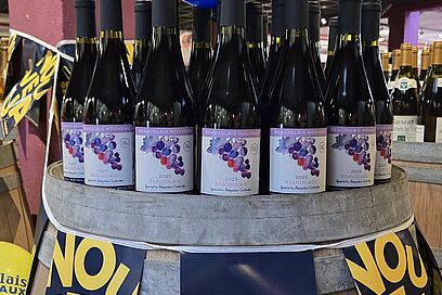 Agrandir l'image, fenêtre modale