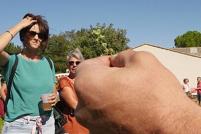 Agrandir l'image, fenêtre modale