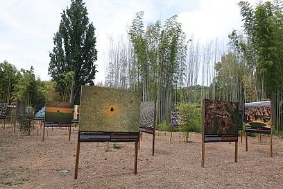 Agrandir l'image, fenêtre modale