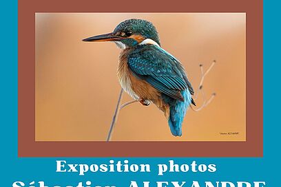 Agrandir l'image, fenêtre modale