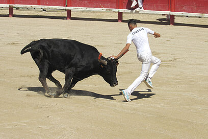Agrandir l'image, fenêtre modale