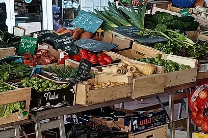 Agrandir l'image, fenêtre modale