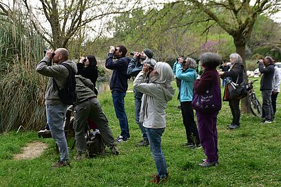 Agrandir l'image, fenêtre modale
