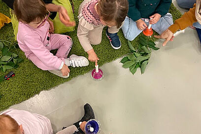 Agrandir l'image, fenêtre modale