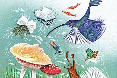 Agrandir l'image, fenêtre modale