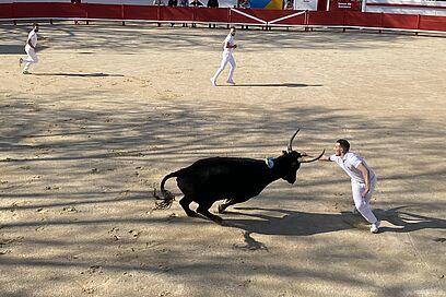 Agrandir l'image, fenêtre modale