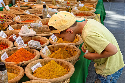 Agrandir l'image, fenêtre modale