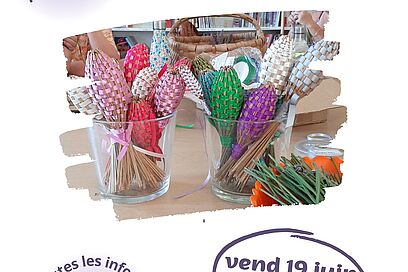 Agrandir l'image, fenêtre modale