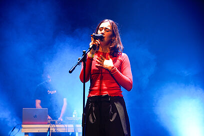 Agrandir l'image, fenêtre modale