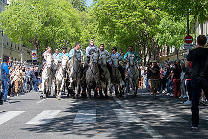 Agrandir l'image, fenêtre modale