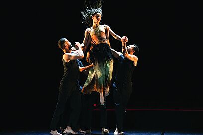 Agrandir l'image, fenêtre modale