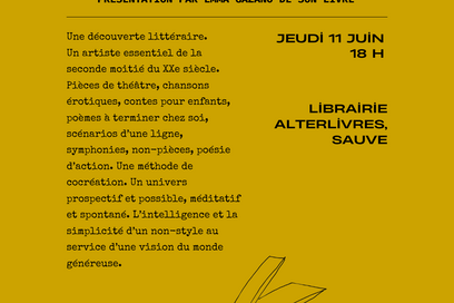 Agrandir l'image, fenêtre modale