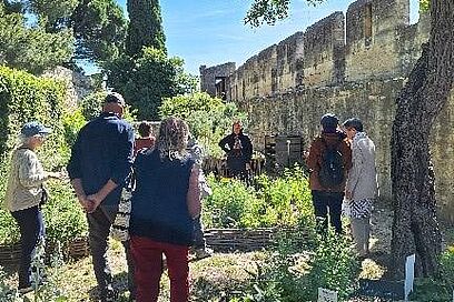 Agrandir l'image, fenêtre modale