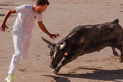 Agrandir l'image, fenêtre modale