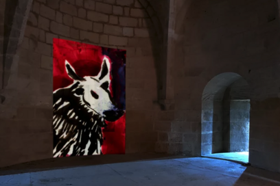 Agrandir l'image, fenêtre modale