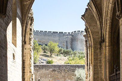 Agrandir l'image, fenêtre modale