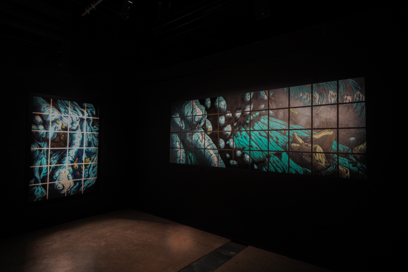 Agrandir l'image, fenêtre modale