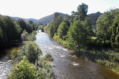 Agrandir l'image, fenêtre modale