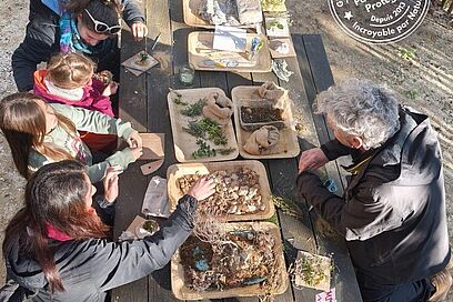 Agrandir l'image, fenêtre modale