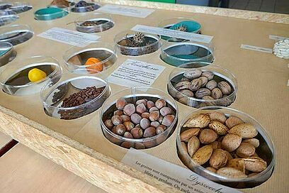 Agrandir l'image, fenêtre modale