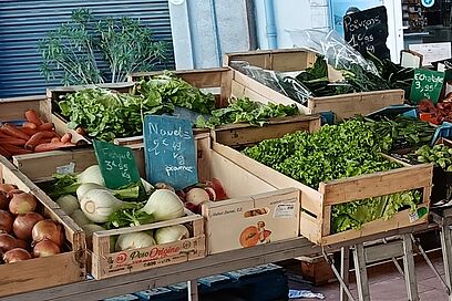 Agrandir l'image, fenêtre modale