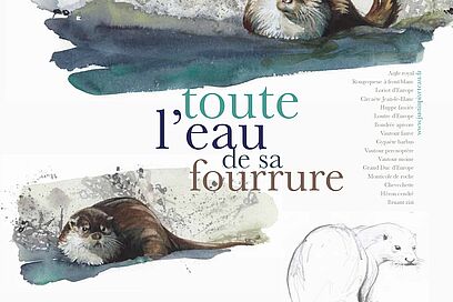 Agrandir l'image, fenêtre modale