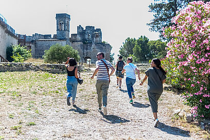Agrandir l'image, fenêtre modale