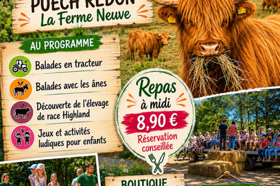 Agrandir l'image, fenêtre modale
