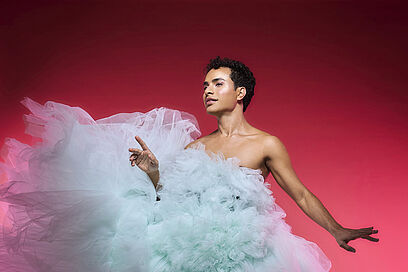 Agrandir l'image, fenêtre modale